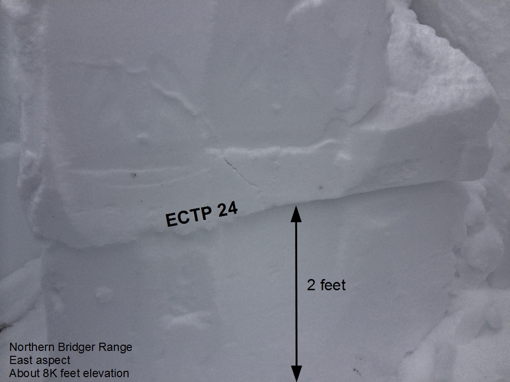 ECT Northern Bridger Range