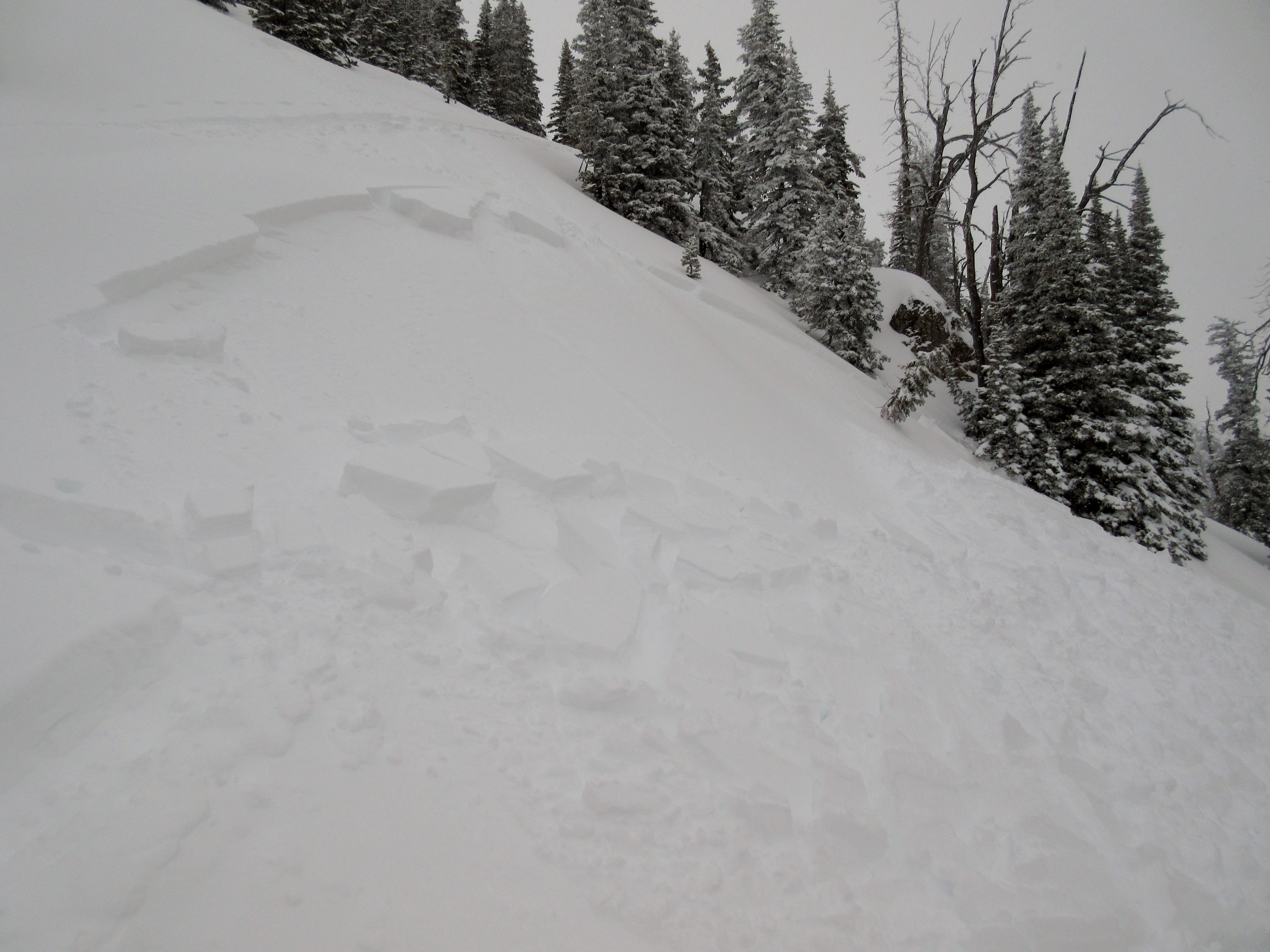 Skier triggered storm slab on the Ramp