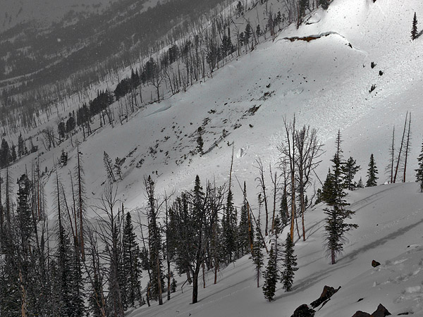 Sheep Creek Avalanche near Cooke City