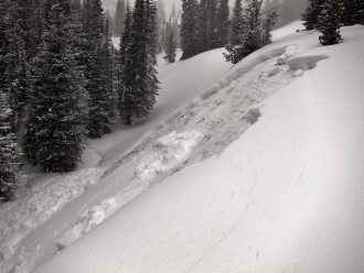 Remotely triggered avalanche Beehive Basin