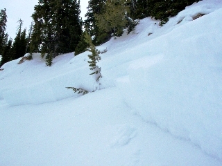 Crown From Snowmobiler Triggered Avalanche 